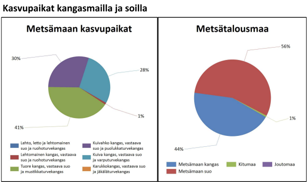 myytävät metsätilat, metsätilan myynti, metsätilat, metsän myyminen, perintömetsän myynti, metsäpalstan myynti, metsää ostavat rahastot, metsätilan kauppa, metsätilan kauppa ilman välittäjää, metsä lkv, metsä