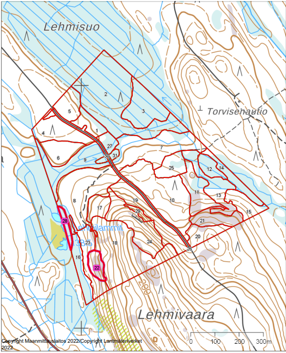 myytävät metsätilat, metsätilan myynti, metsätilat, metsän myyminen, perintömetsän myynti, metsäpalstan myynti, metsää ostavat rahastot, metsätilan kauppa, metsätilan kauppa ilman välittäjää, metsä lkv, metsä