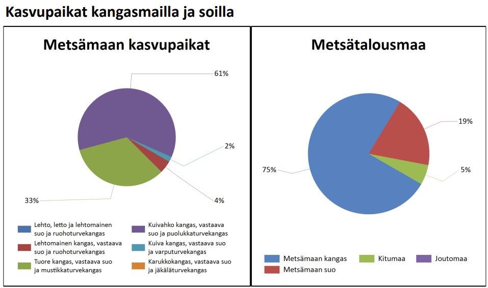 myytävät metsätilat, metsätilan myynti, metsätilat, metsän myyminen, perintömetsän myynti, metsäpalstan myynti, metsää ostavat rahastot, metsätilan kauppa, metsätilan kauppa ilman välittäjää, metsä lkv, metsä