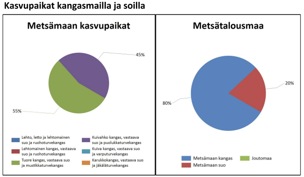 myytävät metsätilat, metsätilan myynti, metsätilat, metsän myyminen, perintömetsän myynti, metsäpalstan myynti, metsää ostavat rahastot, metsätilan kauppa, metsätilan kauppa ilman välittäjää, metsä lkv, metsä
