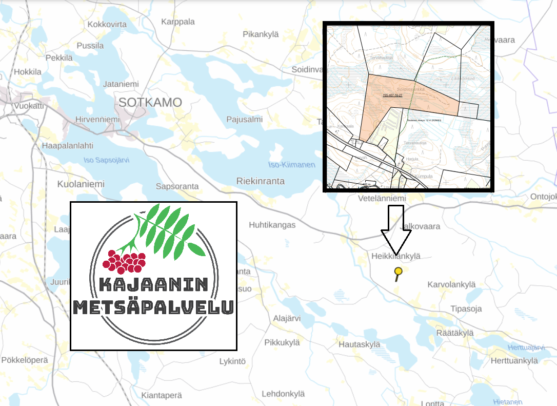 myytävät metsätilat, metsätilan myynti, metsätilat, metsän myyminen, perintömetsän myynti, metsäpalstan myynti, metsää ostavat rahastot, metsätilan kauppa, metsätilan kauppa ilman välittäjää, metsä lkv, metsä
