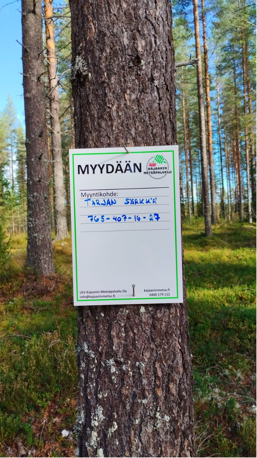 myytävät metsätilat, metsätilan myynti, metsätilat, metsän myyminen, perintömetsän myynti, metsäpalstan myynti, metsää ostavat rahastot, metsätilan kauppa, metsätilan kauppa ilman välittäjää, metsä lkv, metsä
