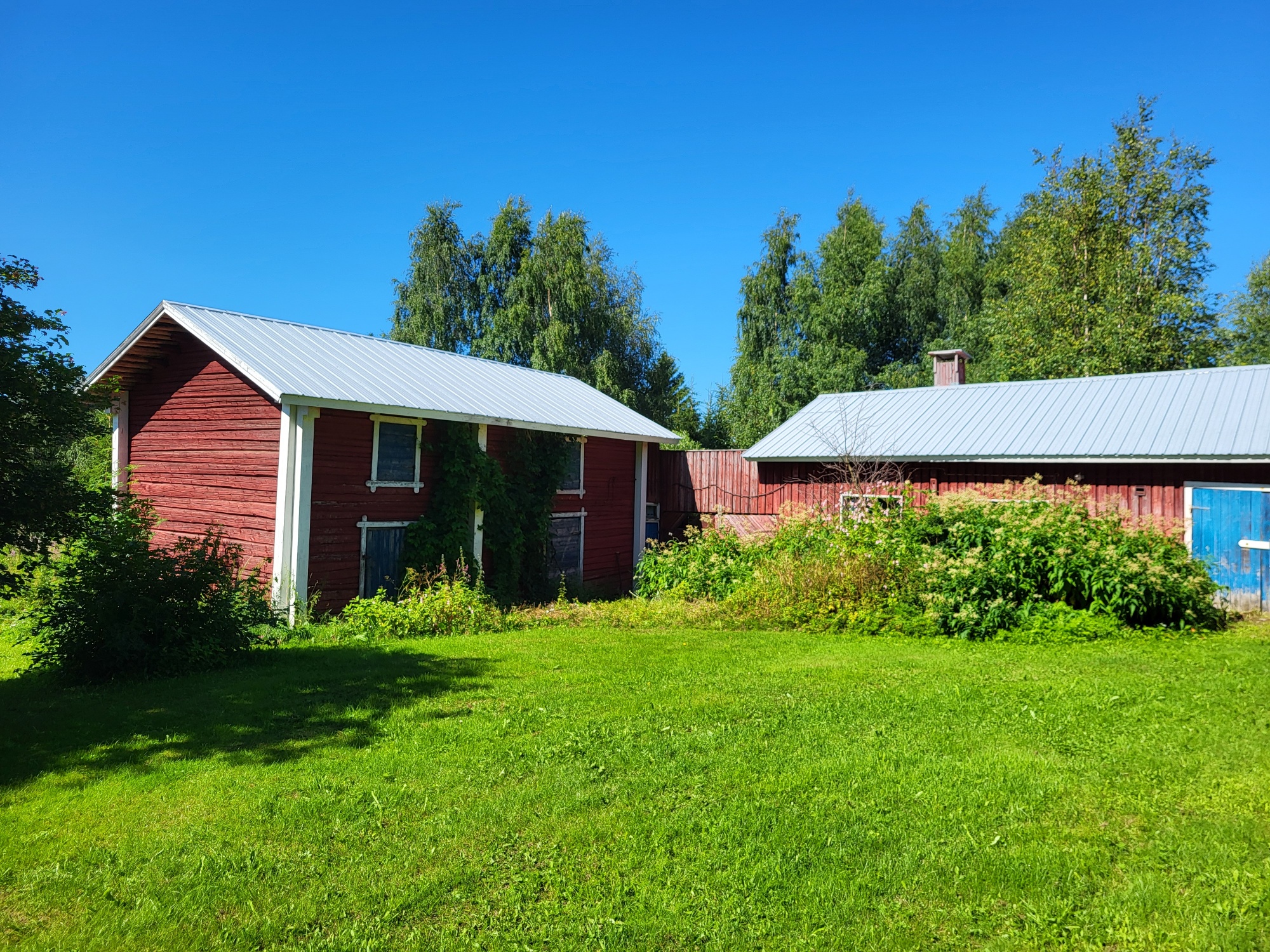 myytävät metsätilat, metsätilan myynti, metsätilat, metsän myyminen, perintömetsän myynti, metsäpalstan myynti, metsää ostavat rahastot, metsätilan kauppa, metsätilan kauppa ilman välittäjää, metsä lkv, metsä