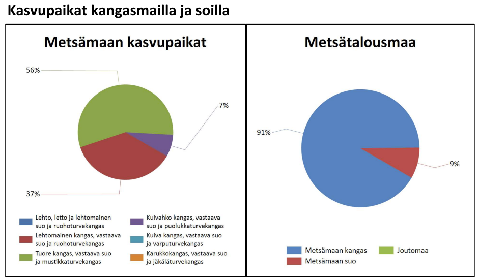 myytävät metsätilat, metsätilan myynti, metsätilat, metsän myyminen, perintömetsän myynti, metsäpalstan myynti, metsää ostavat rahastot, metsätilan kauppa, metsätilan kauppa ilman välittäjää, metsä lkv, metsä