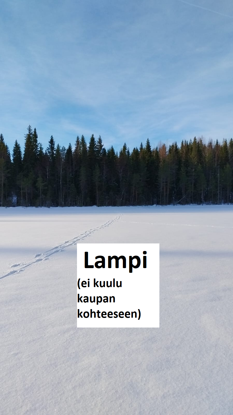 myytävät metsätilat, metsätilan myynti, metsätilat, metsän myyminen, perintömetsän myynti, metsäpalstan myynti, metsää ostavat rahastot, metsätilan kauppa, metsätilan kauppa ilman välittäjää, metsä lkv, metsä