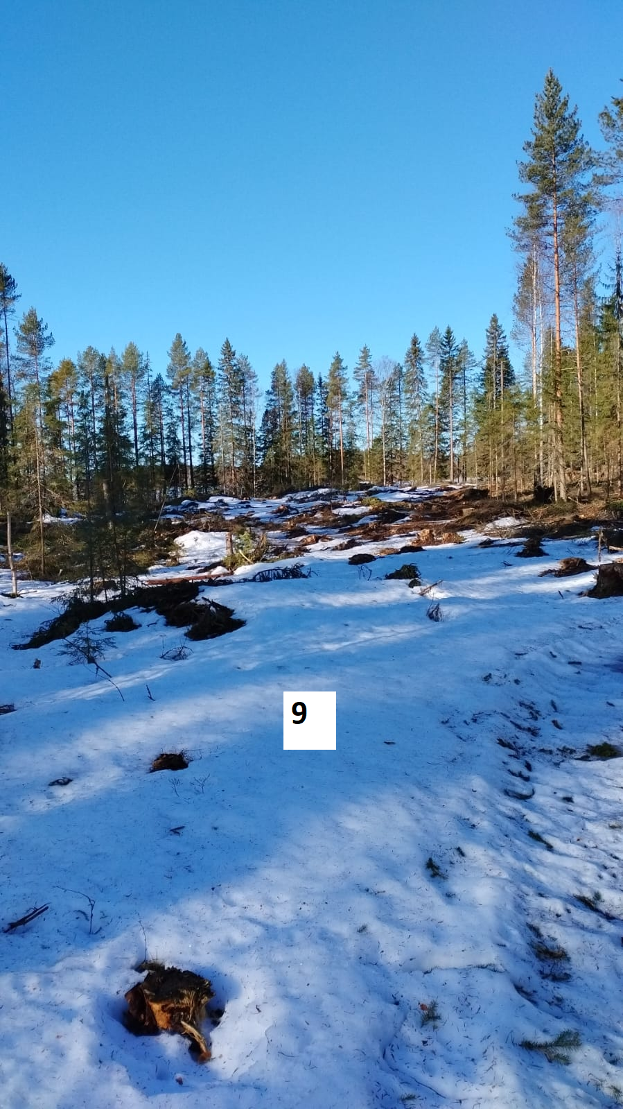 myytävät metsätilat, metsätilan myynti, metsätilat, metsän myyminen, perintömetsän myynti, metsäpalstan myynti, metsää ostavat rahastot, metsätilan kauppa, metsätilan kauppa ilman välittäjää, metsä lkv, metsä