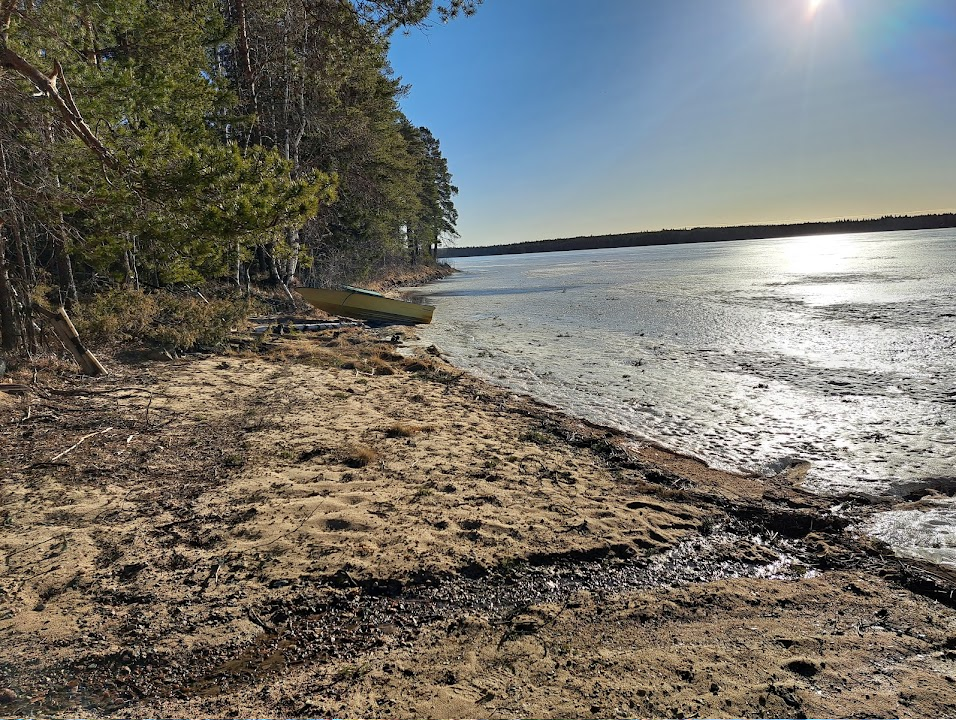 Myytävä metsätila metsätila vieremä metsätilat metsätilan myynti metsä lkv metsätila välittäjä perikunnan metsä kuolinpesän metsätila