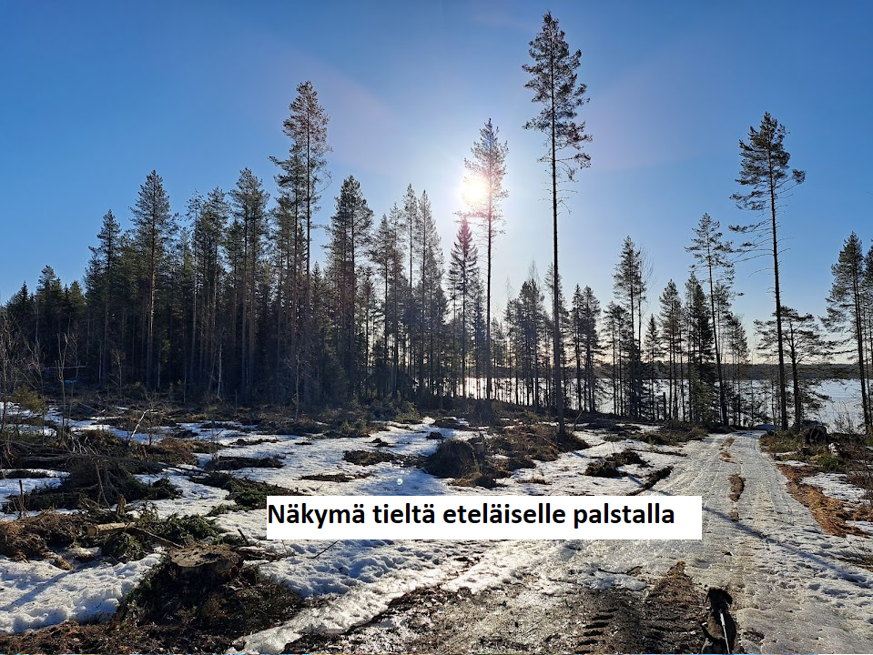 myytävät metsätilat, metsätilan myynti, metsätilat, metsän myyminen, perintömetsän myynti, metsäpalstan myynti, metsää ostavat rahastot, metsätilan kauppa, metsätilan kauppa ilman välittäjää, metsä lkv, metsä