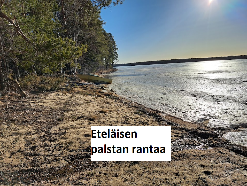 myytävät metsätilat, metsätilan myynti, metsätilat, metsän myyminen, perintömetsän myynti, metsäpalstan myynti, metsää ostavat rahastot, metsätilan kauppa, metsätilan kauppa ilman välittäjää, metsä lkv, metsä